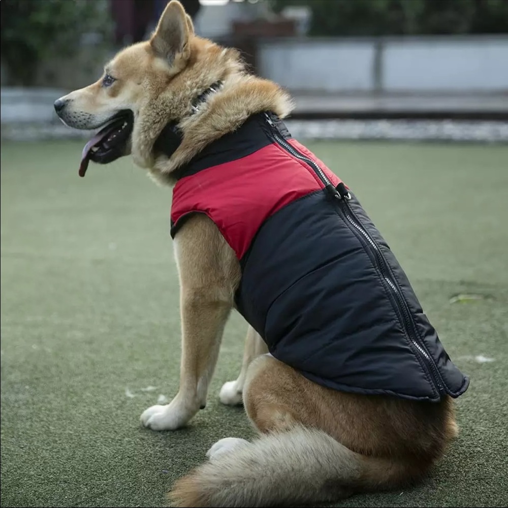 🆕 dog coat 🐾